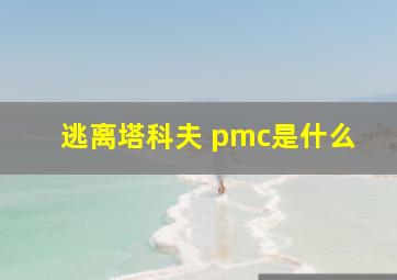 逃离塔科夫 pmc是什么